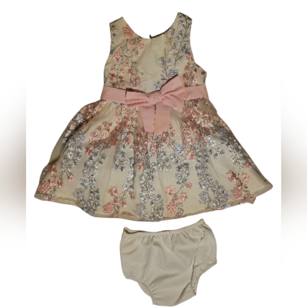 Kids/Girls RARE EDITIONS Embroidered Floral Mesh Bow With Bottoms Size 12M